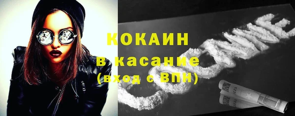индика Верея
