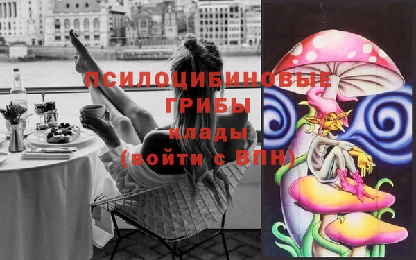 индика Верея