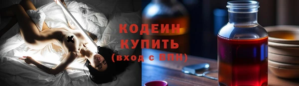 индика Верея