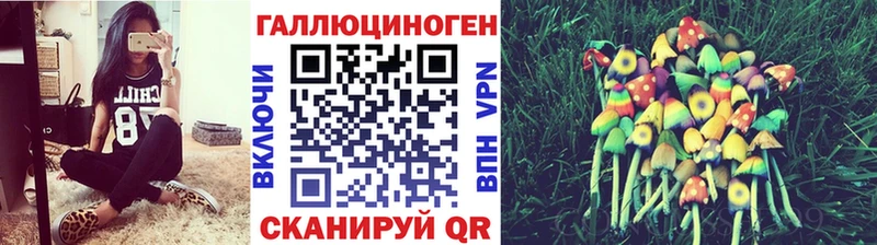 Галлюциногенные грибы Cubensis  МЕГА ССЫЛКА  Салехард 